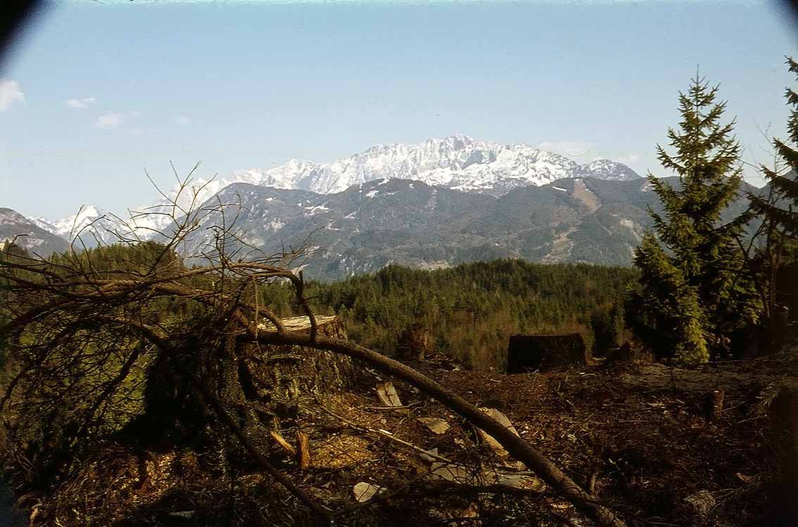 Scheffauer am 23.08.1969