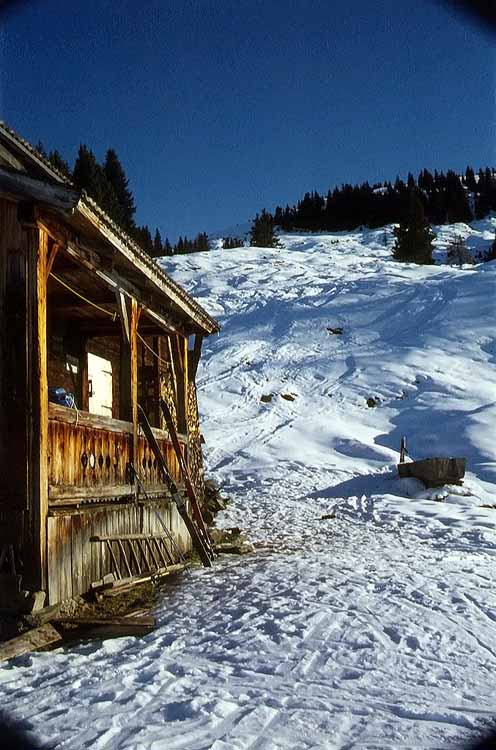 Feldalpenhorn am 10.01.1971