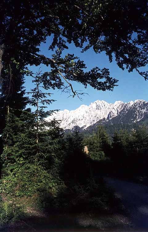 Scheffauer am 09.07.1971