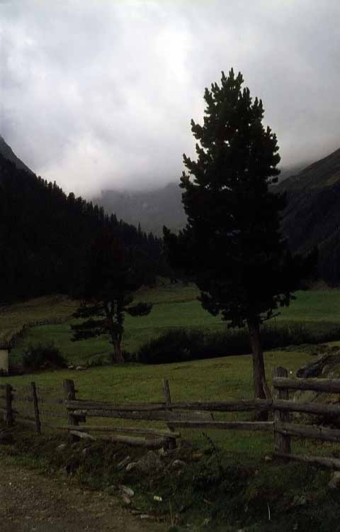 Zwieselbacher Roßkogel am 11.09.1971