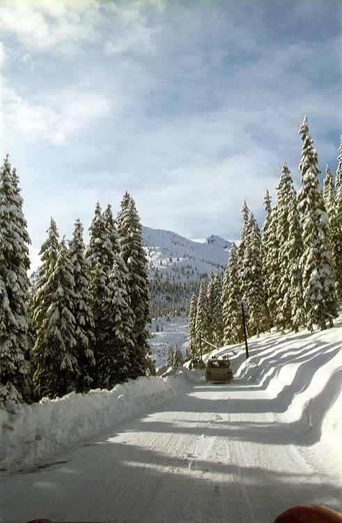 Pfaffenbühel am 13.02.1972