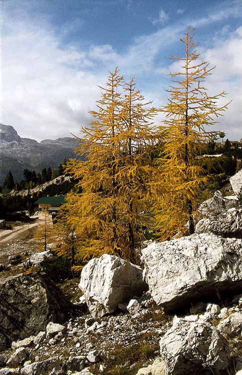 Punta Anna am 27.09.1976