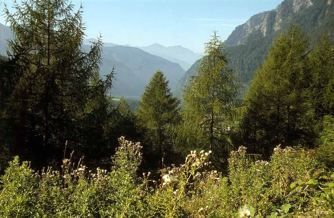 Pfitscherjoch am 17.09.1979