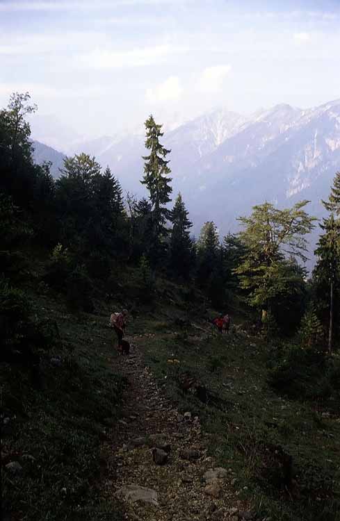 Schafreiter am 18.09.1982