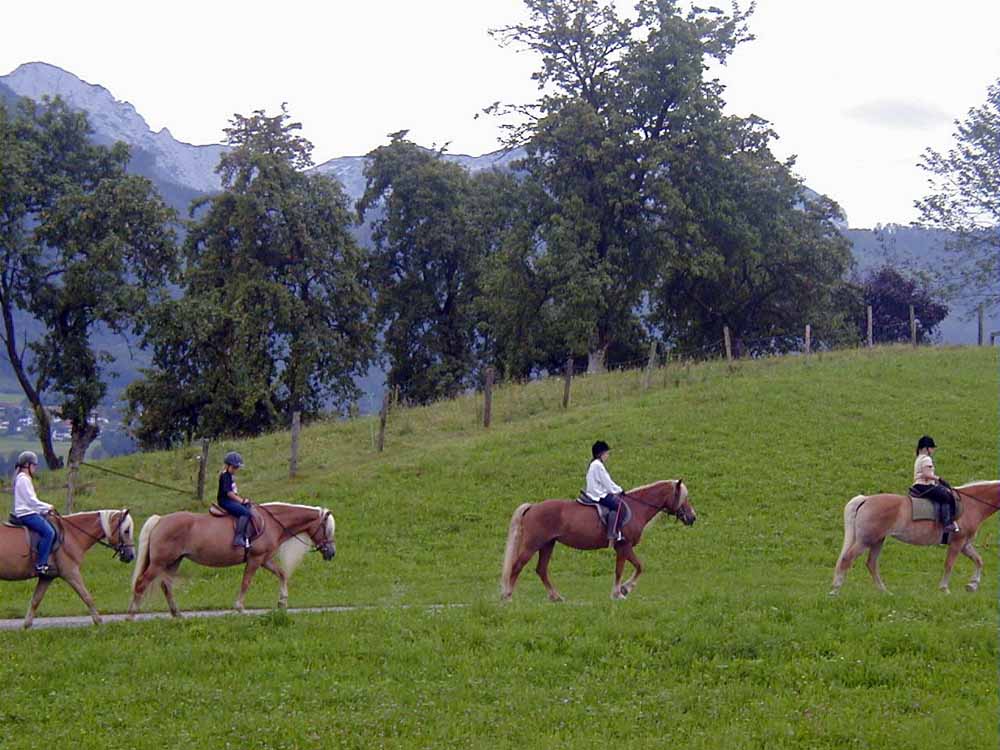 Langbathseen am 25.08.2004