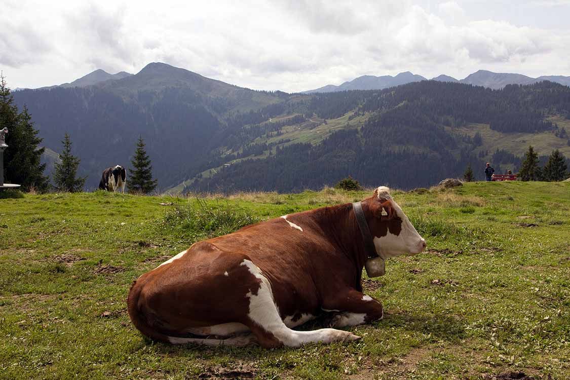 Markbachjoch am 21.08.2017