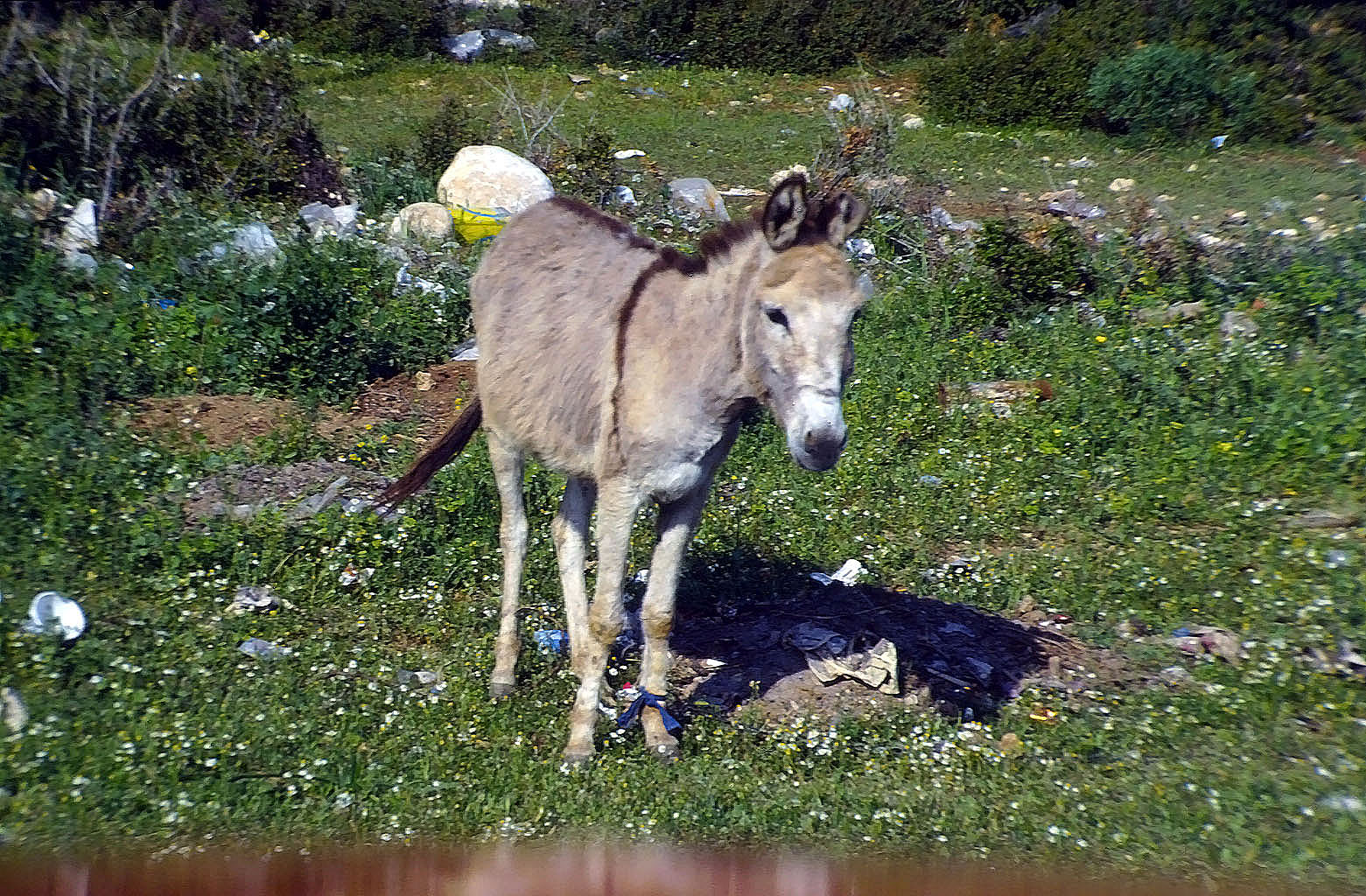 01.05.1993 | Antalya Kepez | hier ist mein Zuhause
