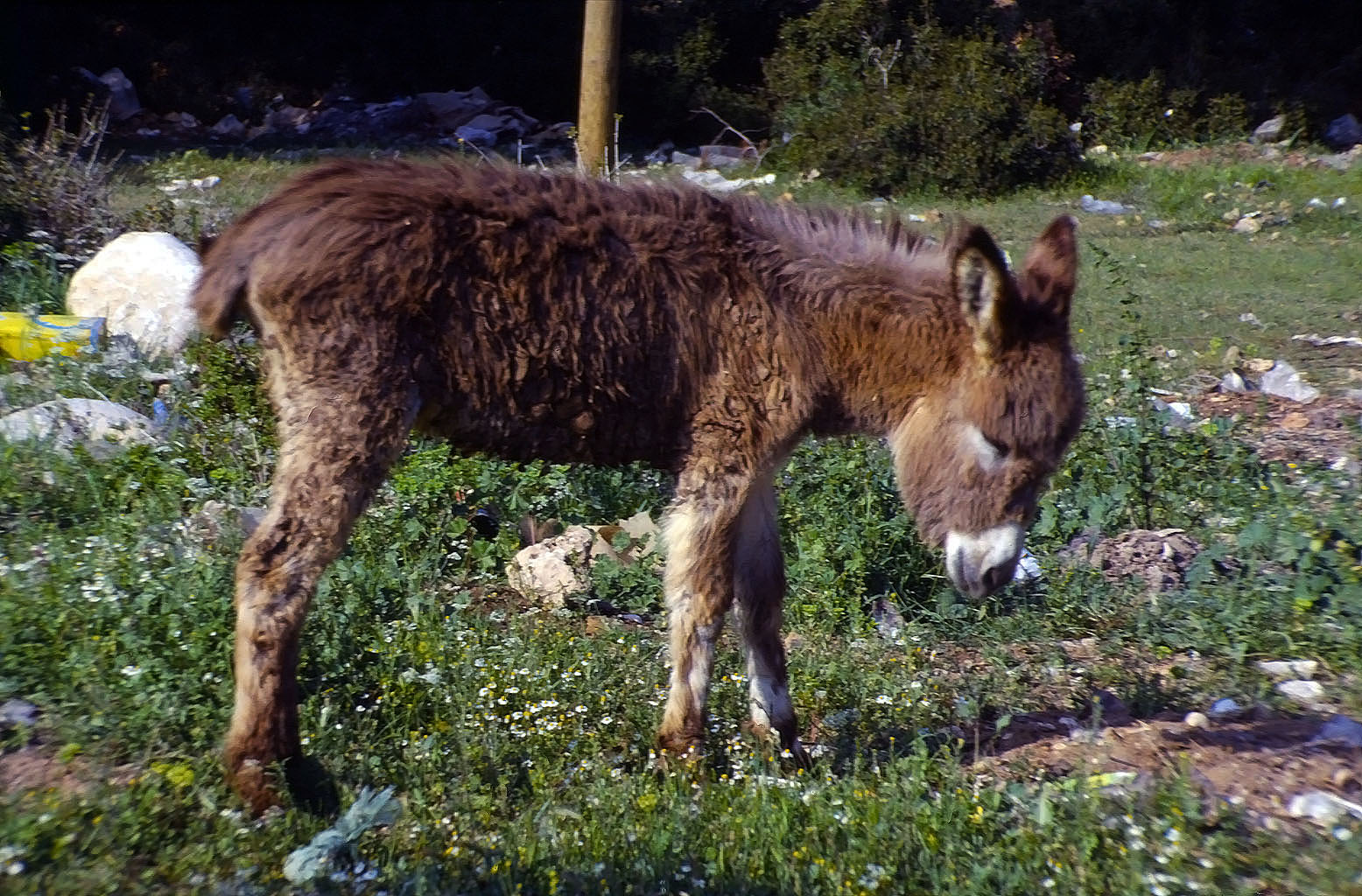 01.05.1993 | Antalya Kepez | immer nur Warten ...