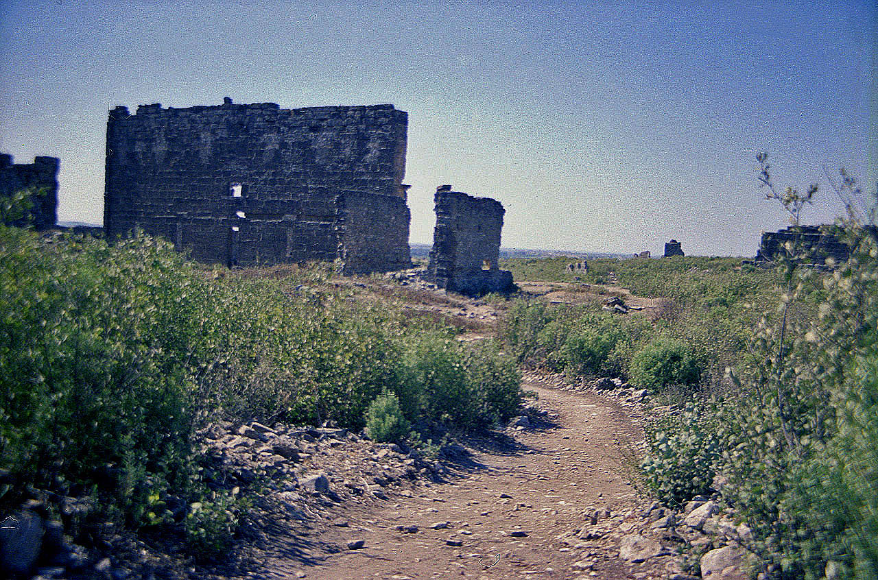30.07.1990 | Nymphäum | Nymphäum