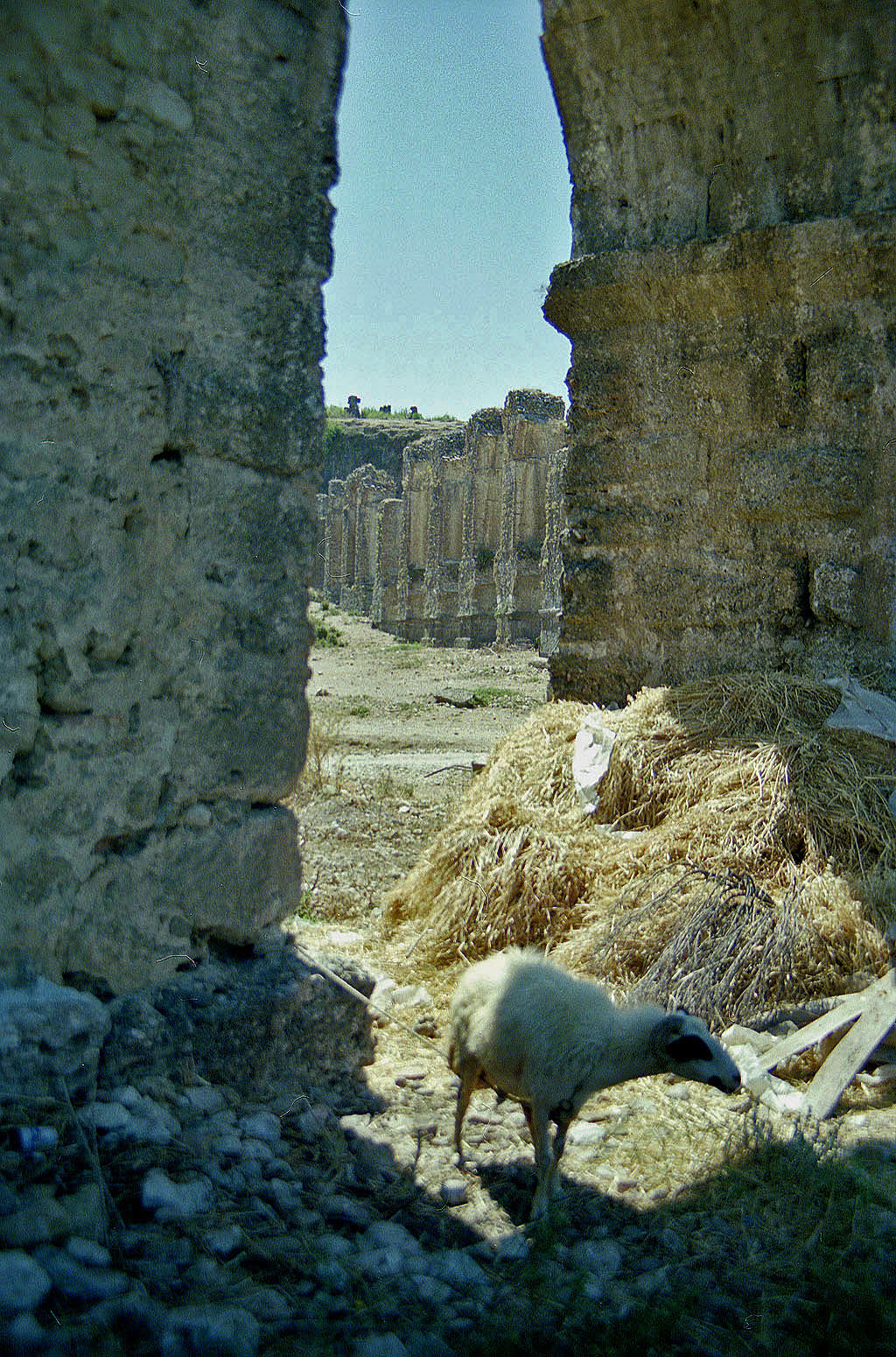 30.07.1990 | Aquädukt   | Stall unterm südl. Druckturm
