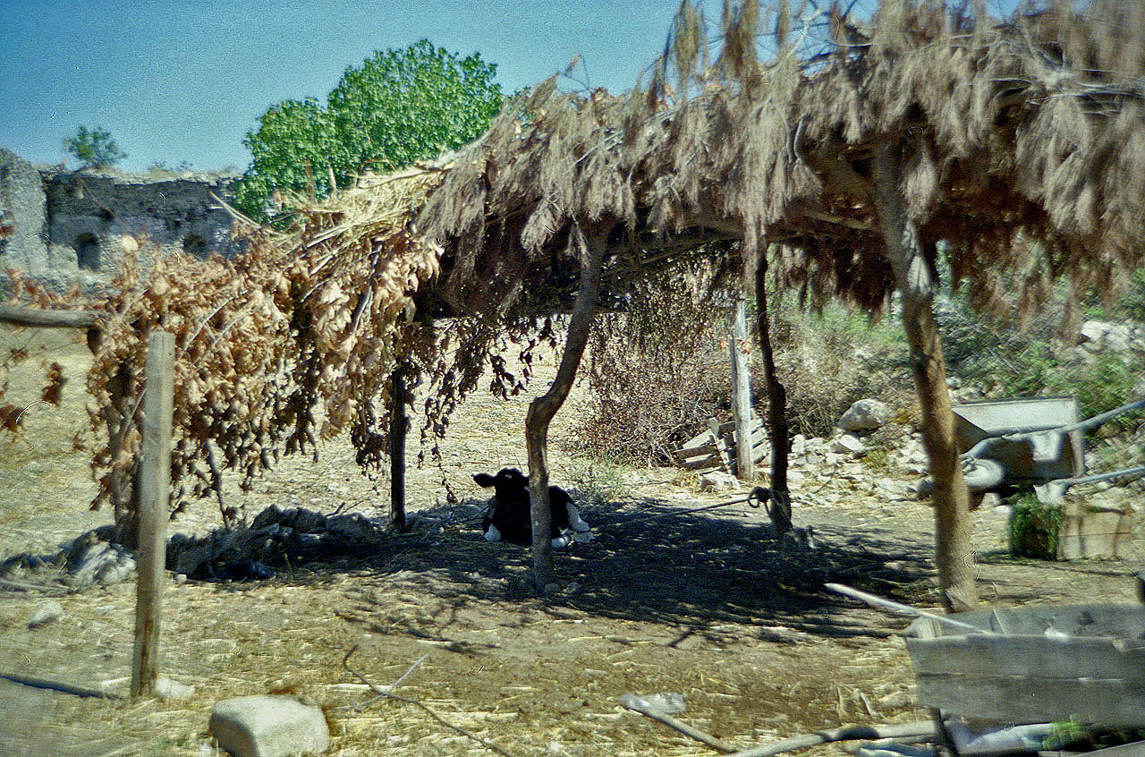 30.07.1990 | Aquädukt   | Stall beim südl. Druckturm