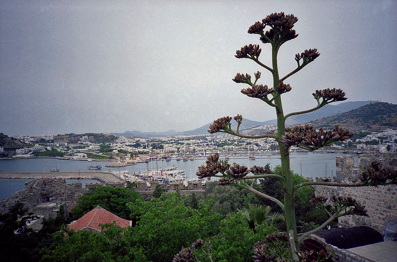 06.04.1993 | Kreuzritterburg | Hafen von der Burg