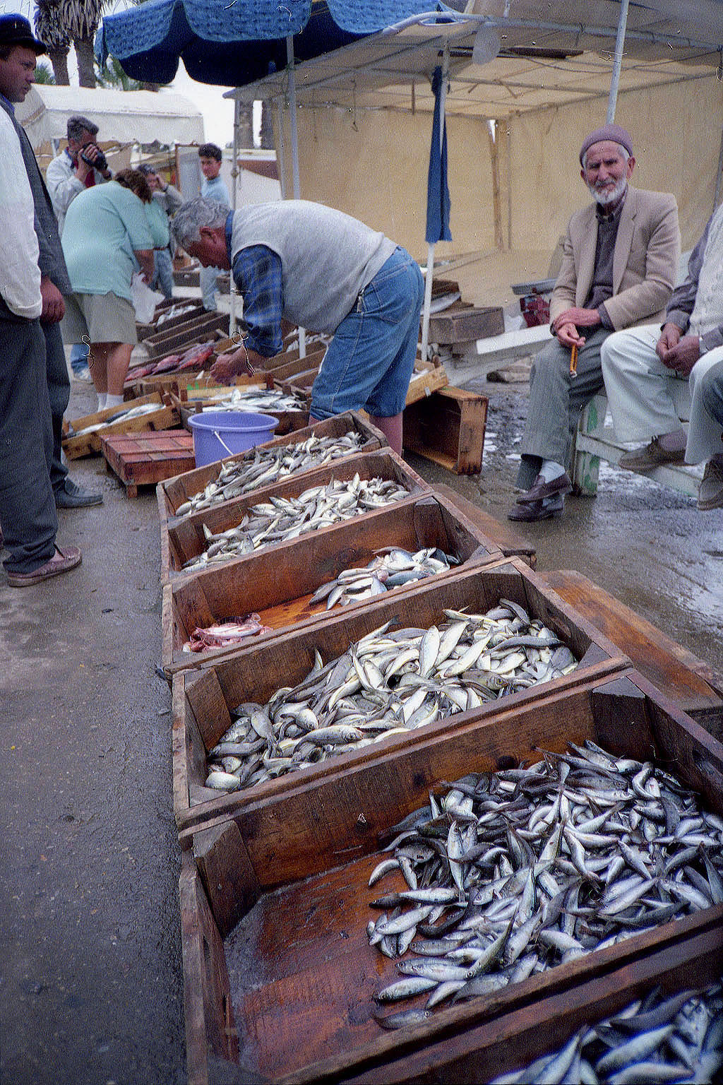 06.04.1993 | Fischmarkt   | Fischmarkt neben Hafen