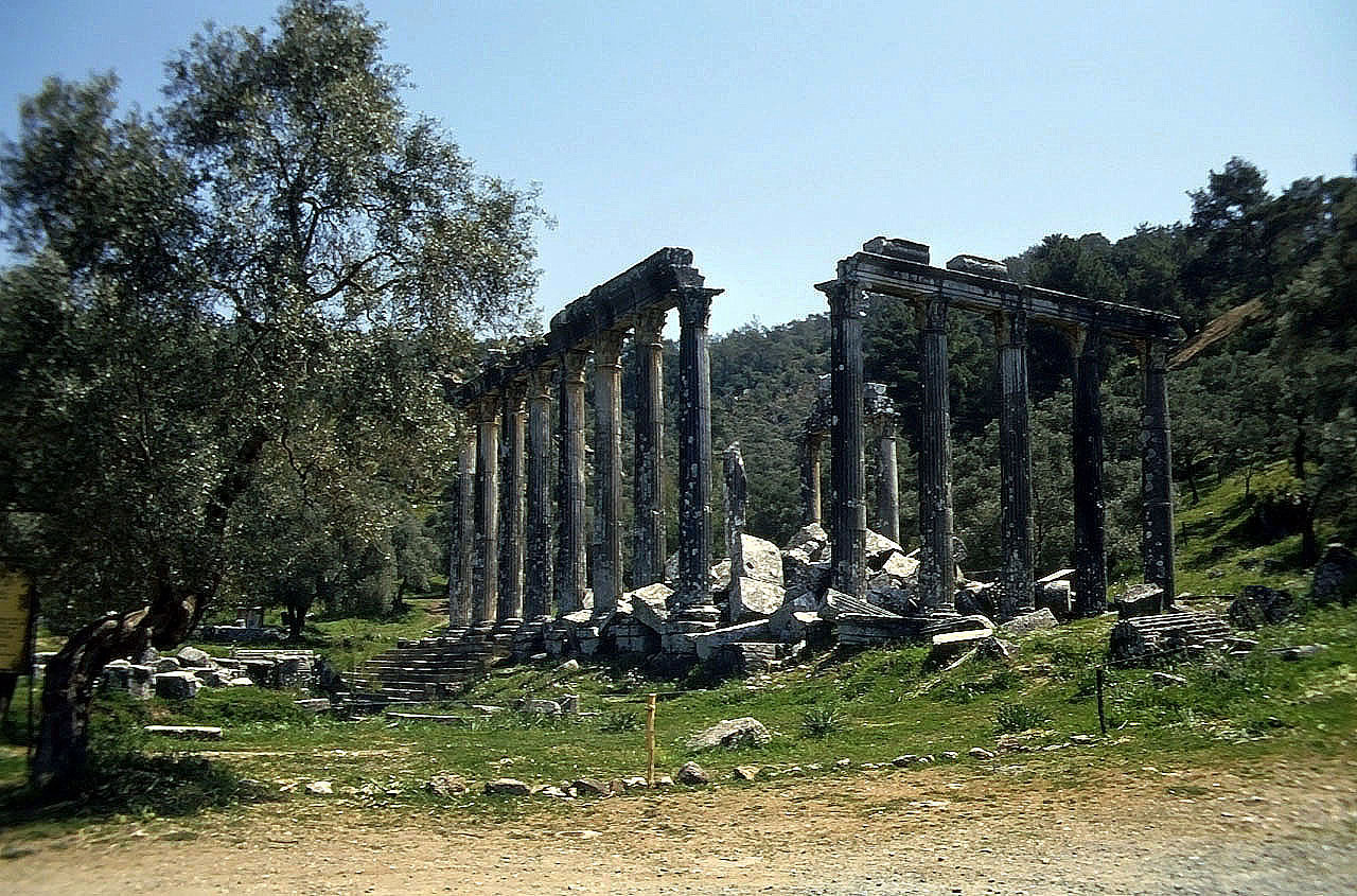 24.04.1993 | Zeustempel   | Zeustempel