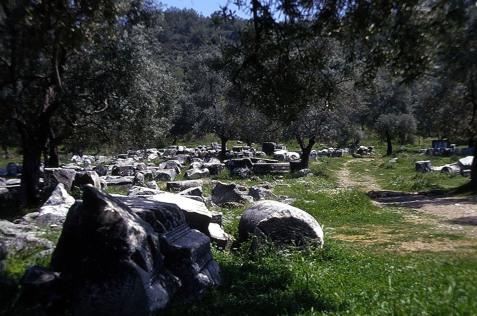 24.04.1993 | Zeustempel   | Säulentrommeln beim Zeustempel