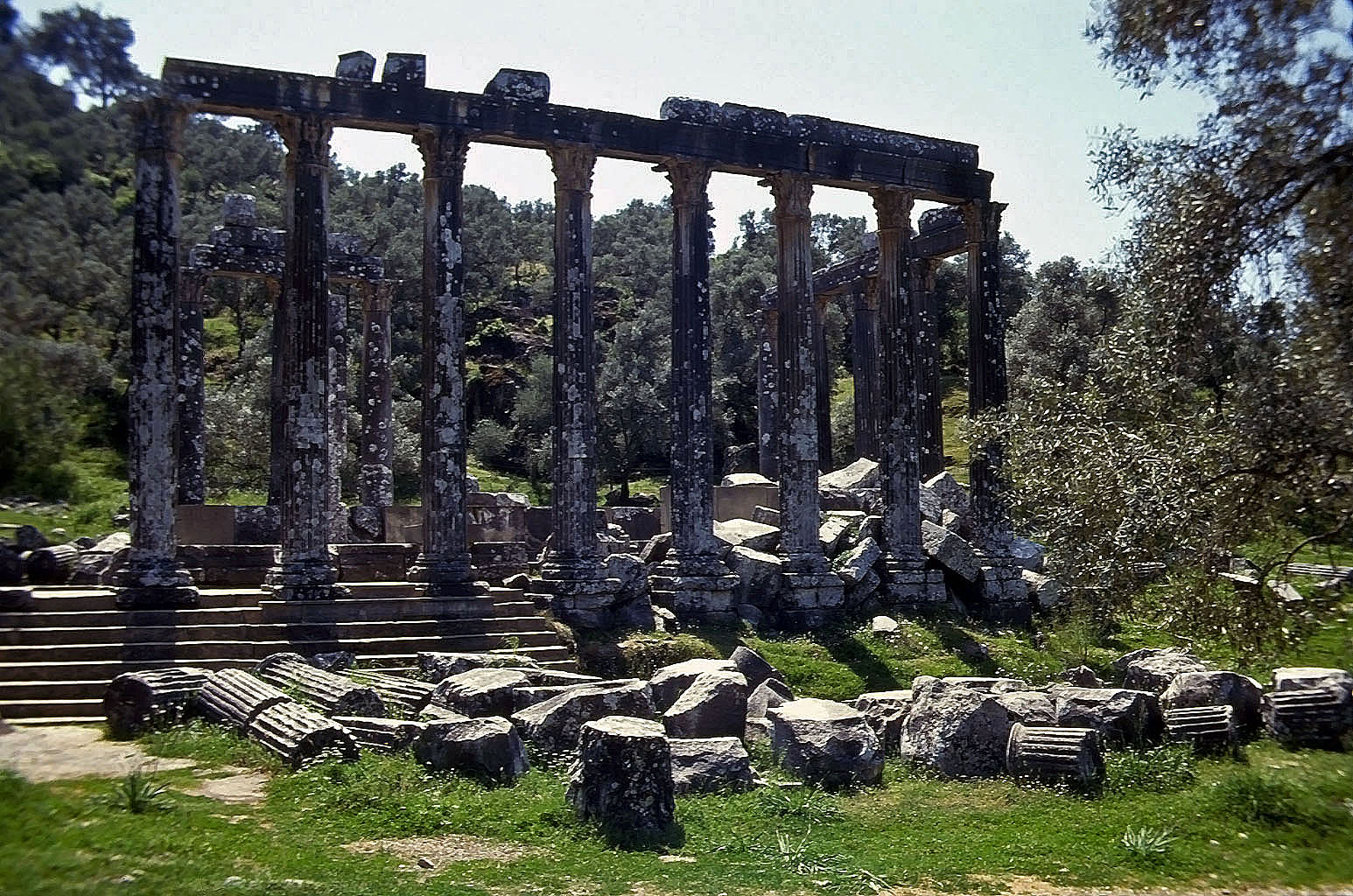 24.04.1993 | Zeustempel   | Zeustempel