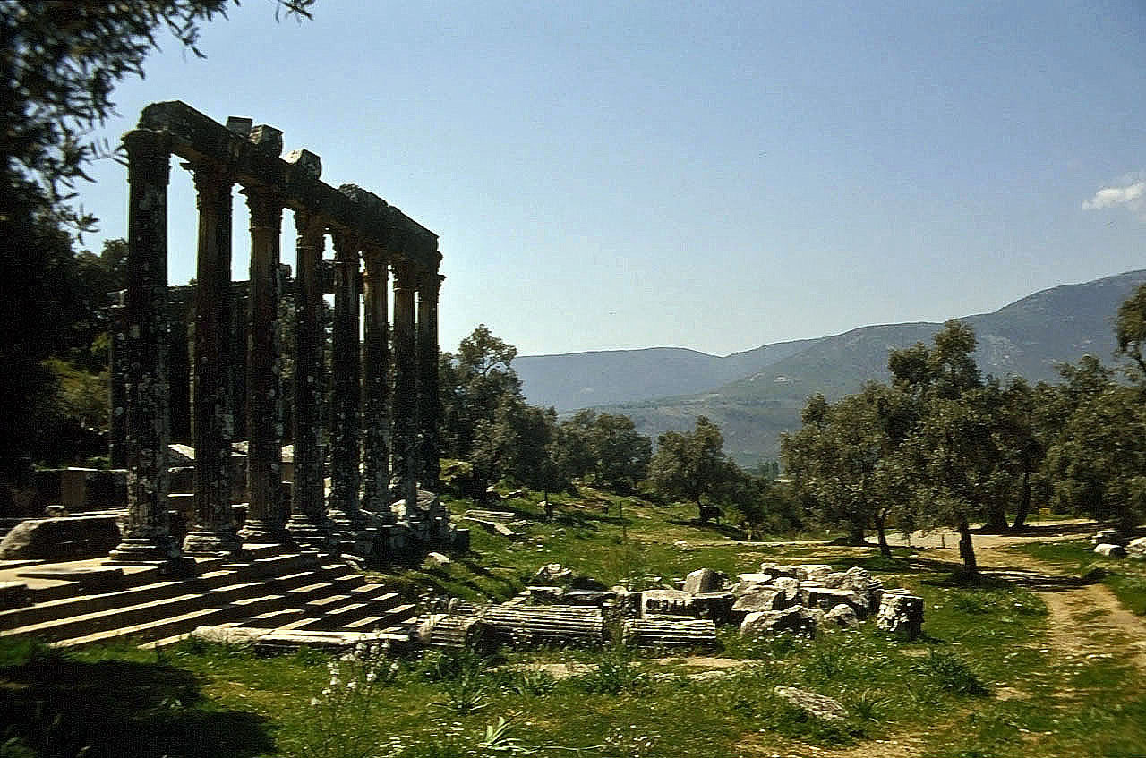 24.04.1993 | Zeustempel   | Zeustempel