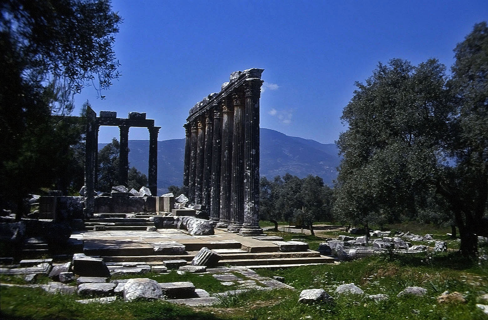 24.04.1993 | Zeustempel   | Zeustempel