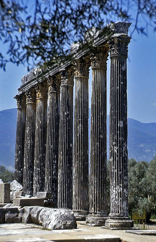 24.04.1993 | Zeustempel   | Zeustempel