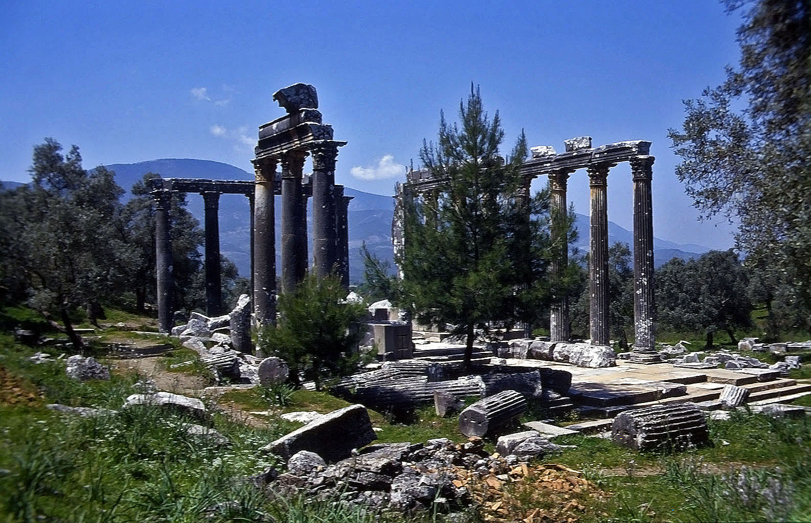 24.04.1993 | Zeustempel   | Zeustempel