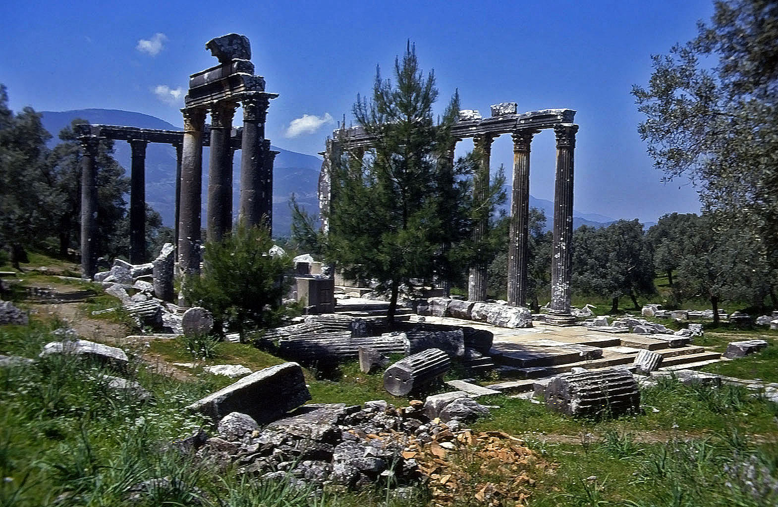 24.04.1993 | Zeustempel   | Zeustempel