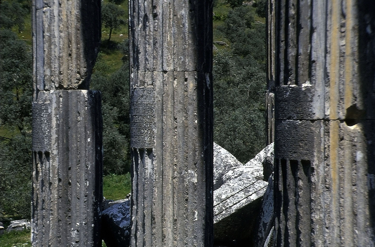 24.04.1993 | Zeustempel   | Detailbild der Stiftungsplaketten