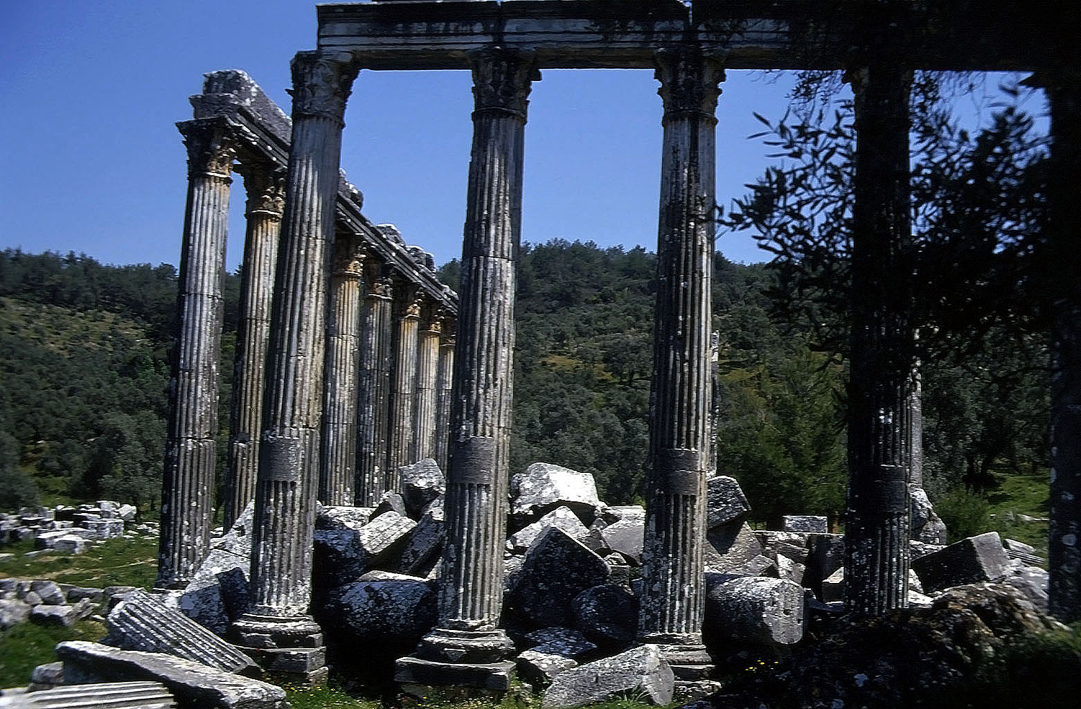 24.04.1993 | Zeustempel   | Zeustempel