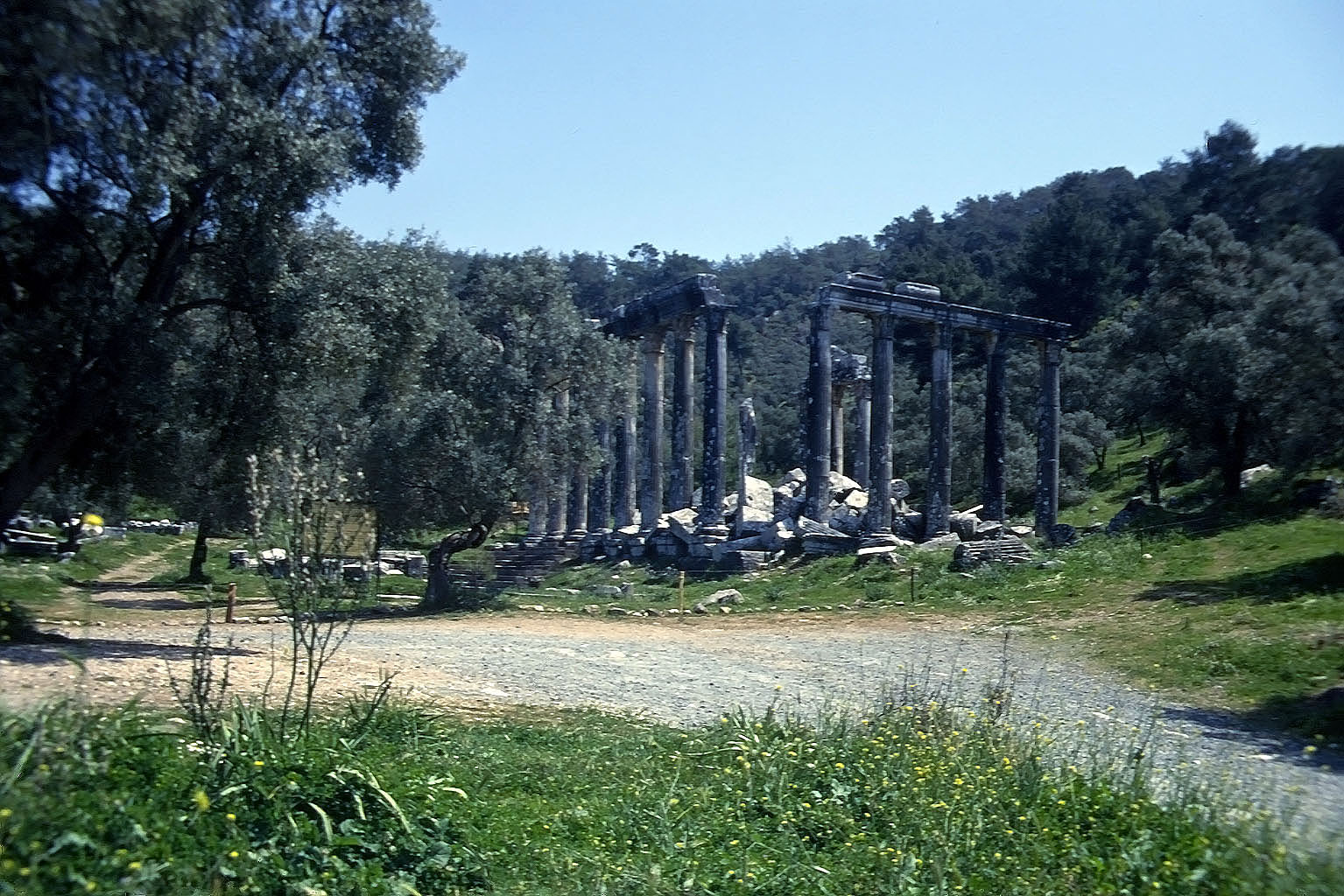 24.04.1993 | Zeustempel   | Zeustempel