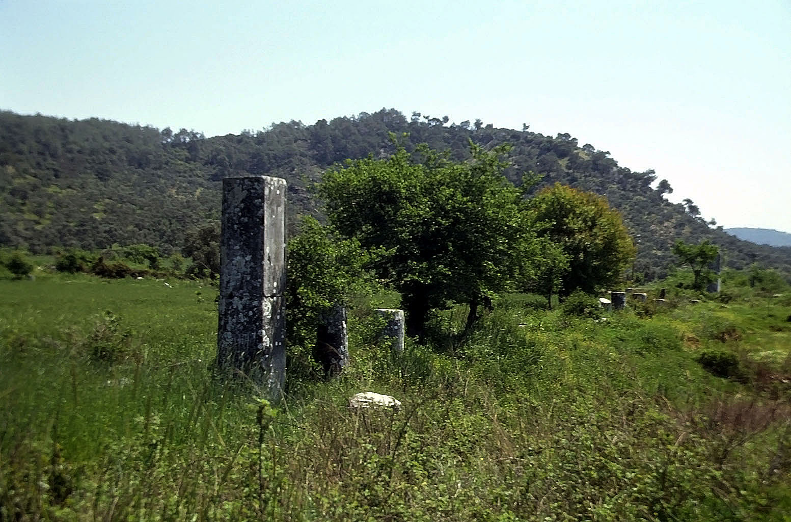 24.04.1993 | Stadtmauer | geringe Reste der Stadtmauer