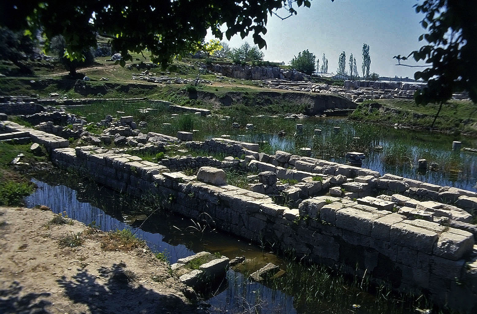 22.04.1993 | Nordportikus | Nordportikus im Sumpfgelände