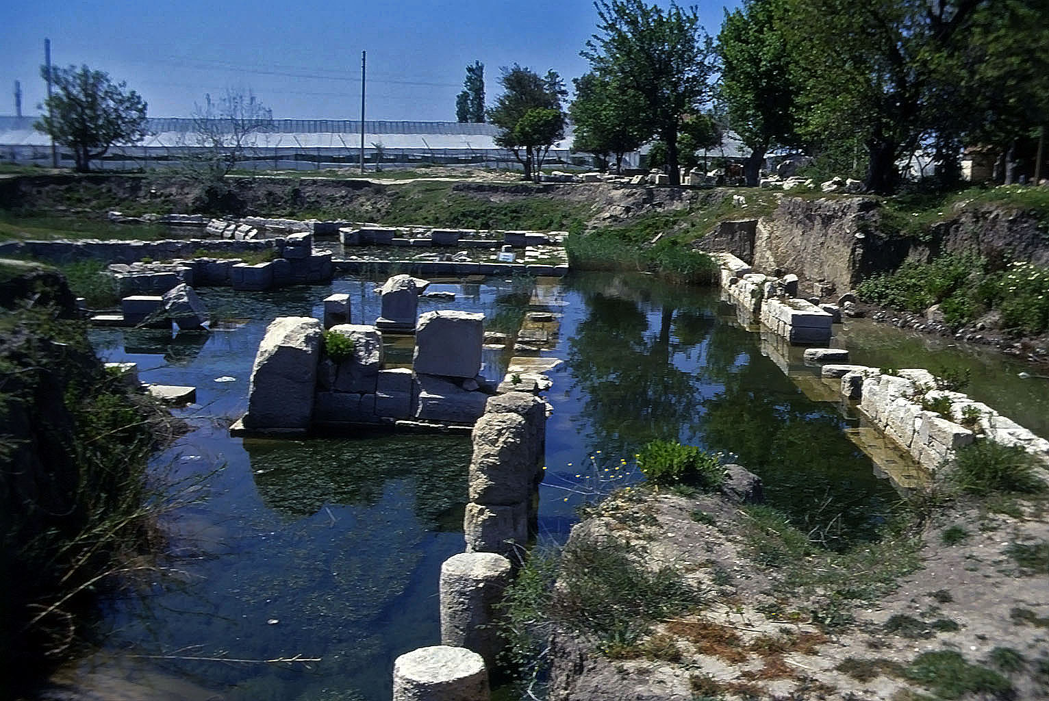 22.04.1993 | Nordportikus | Nordportikus im Sumpfgelände