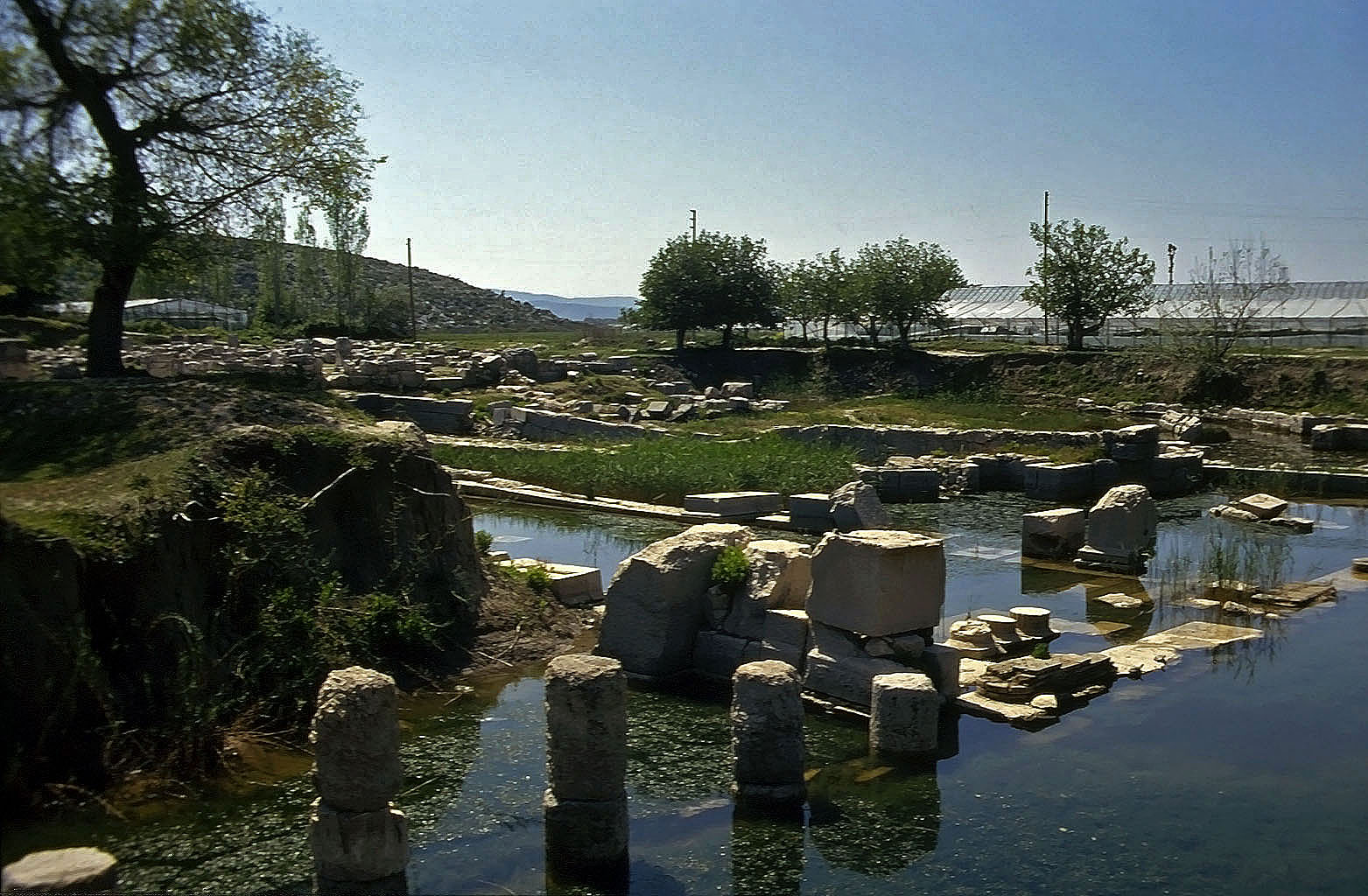 22.04.1993 | Nordportikus | Nordportikus im Sumpfgelände