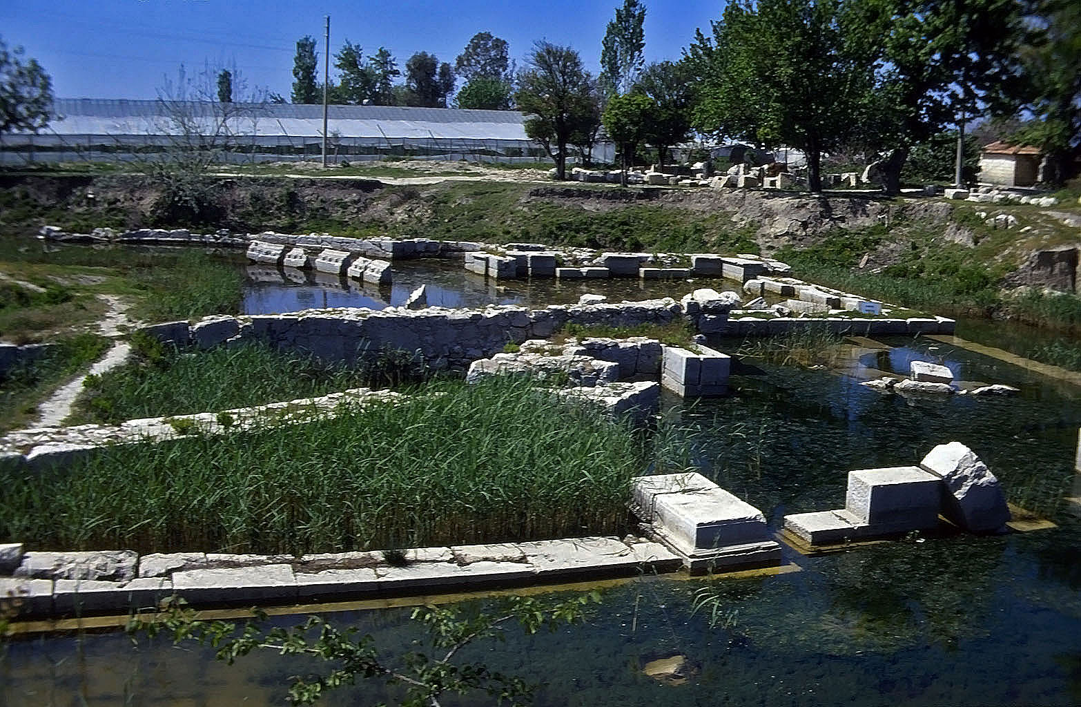 22.04.1993 | Nordportikus | Nordportikus im Sumpfgelände