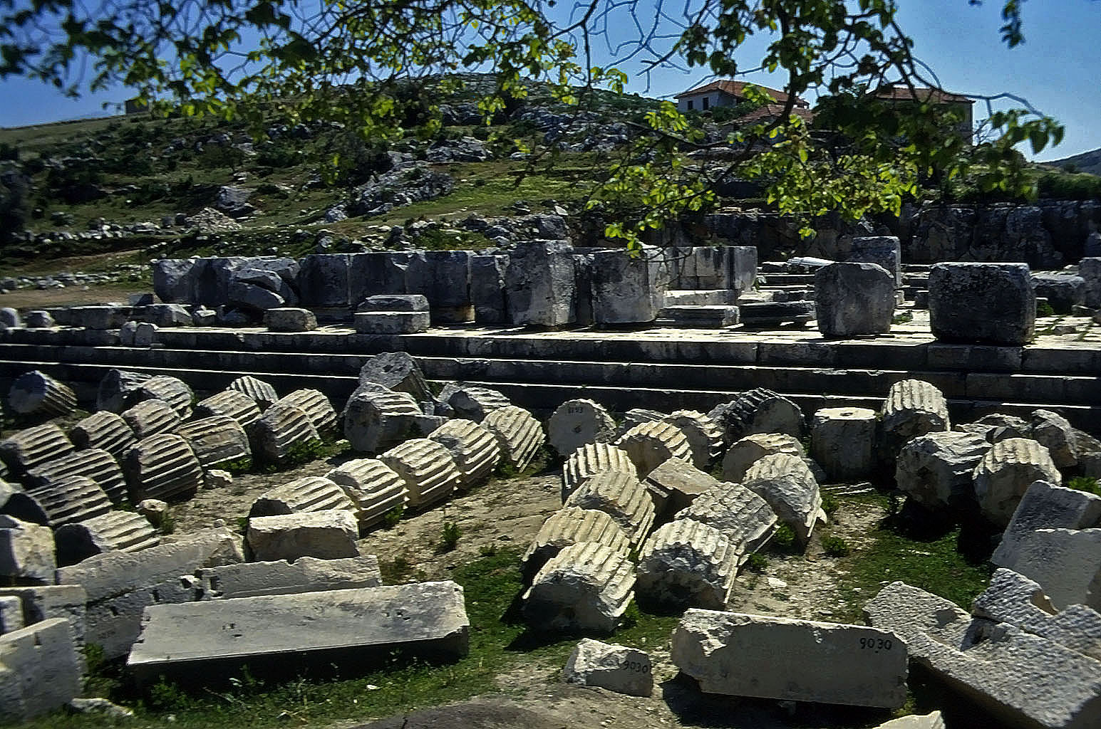 22.04.1993 | Tempelbezirk   | Tempel der Leto mit Säulentrommeln