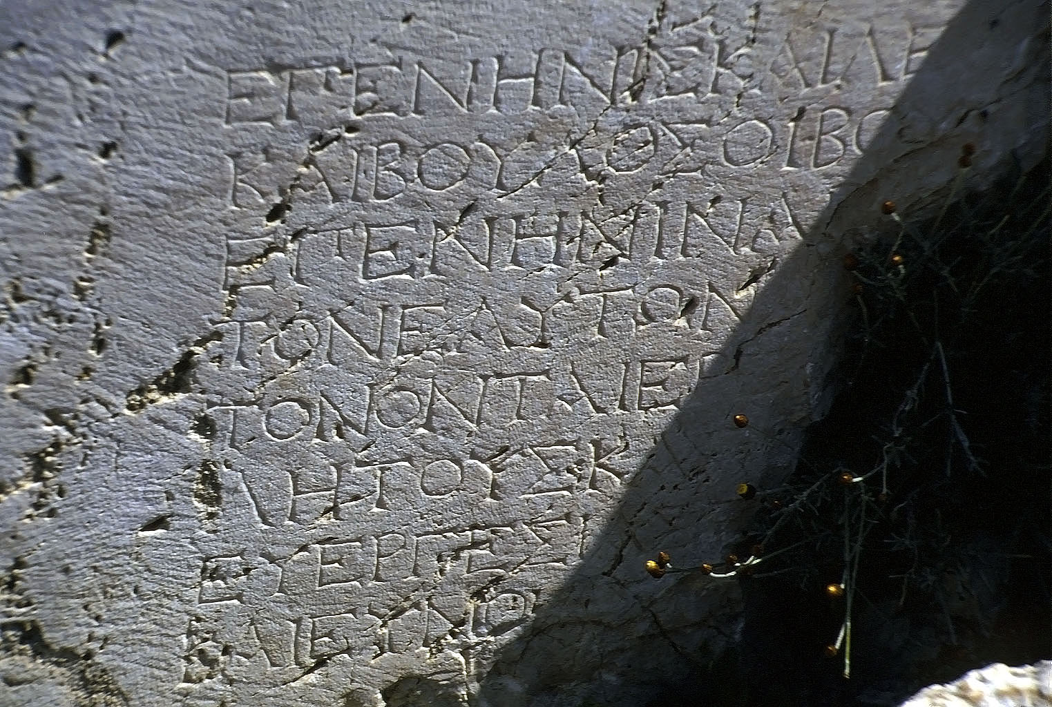 22.04.1993 | Tempelbezirk   | griechische Inschrift in Pfeiler