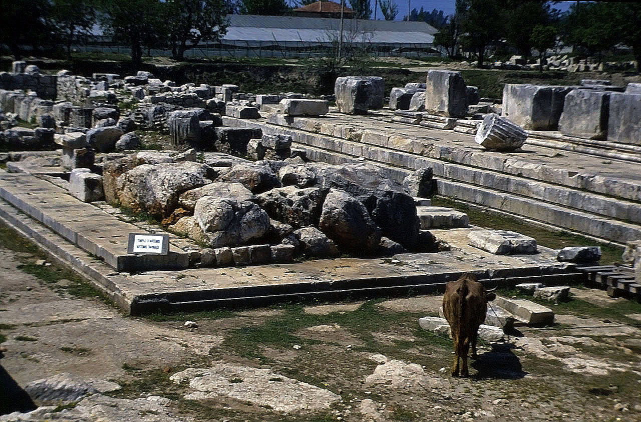22.04.1993 | Tempelbezirk   | Tempel der Artemis