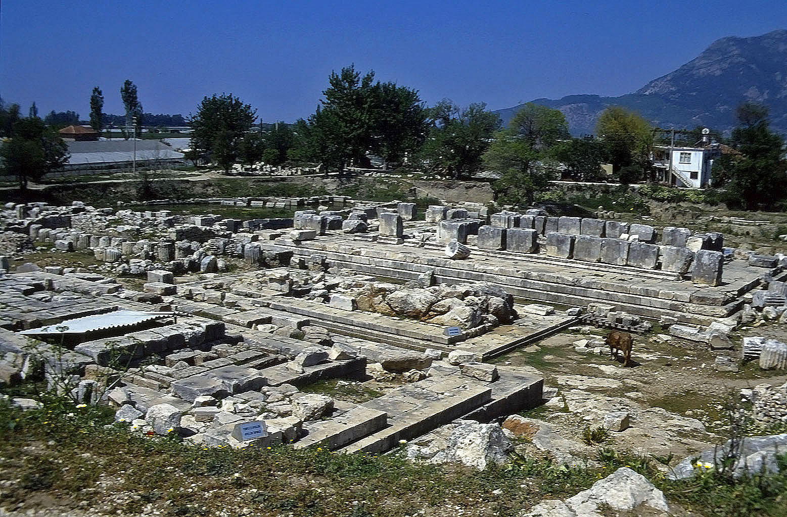 22.04.1993 | Tempelbezirk   | Tempel der Leto, der Artemis und des Apollon