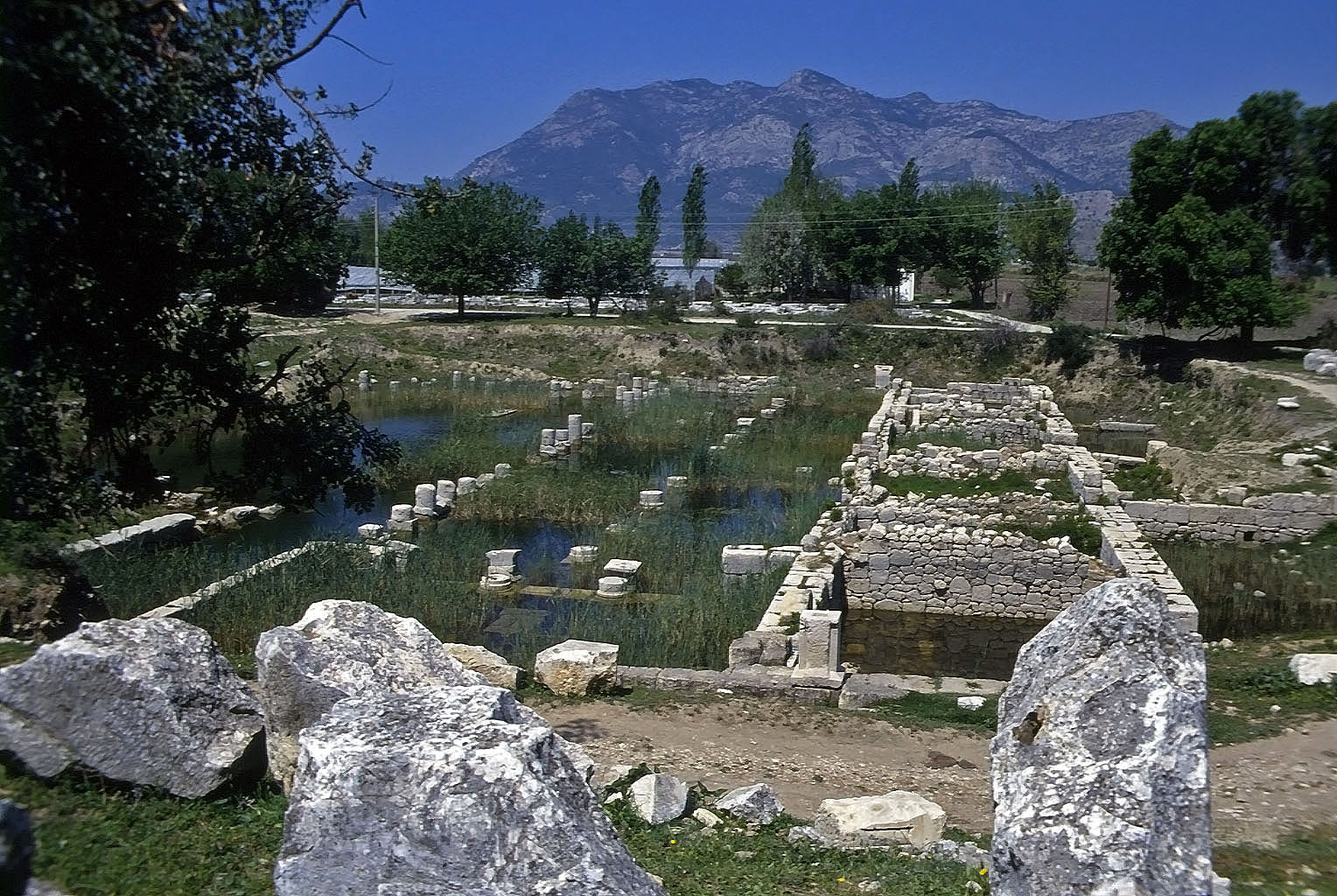 22.04.1993 | Saal | Saal und Nordportikus im Sumpfgelände
