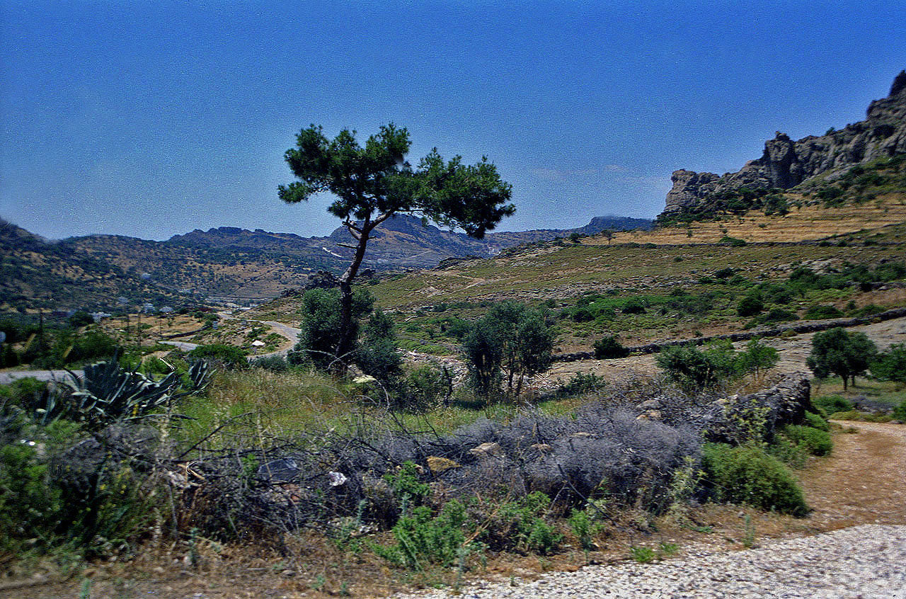 04.06.1996 | bei Dagbelen | Landschaft  der Bodrum-Halbinsel