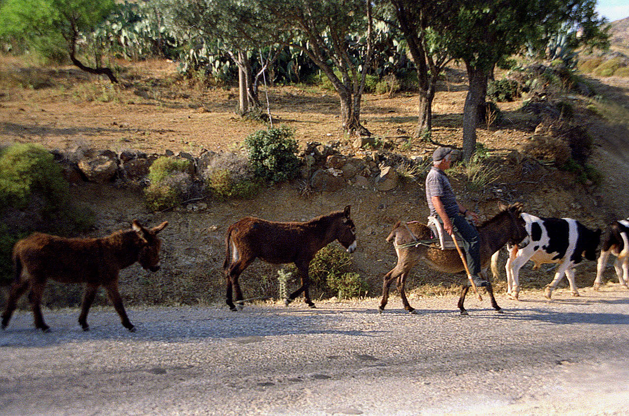 04.06.1996 | bei Telmissos | alte Transportmittel am Strassenrand