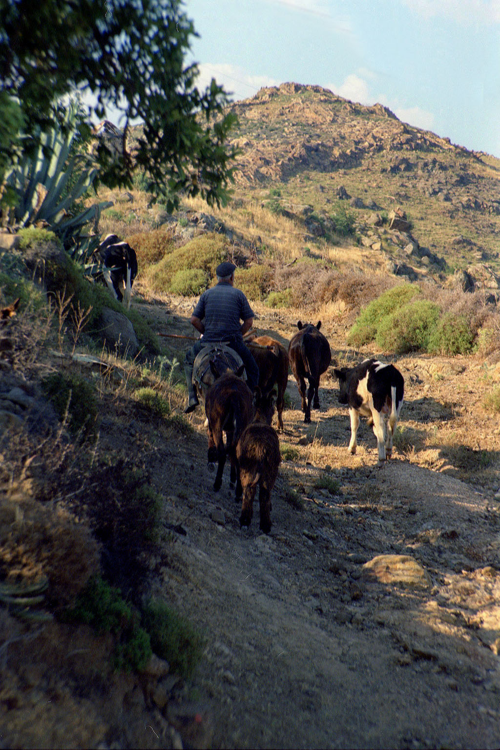 04.06.1996 | bei Telmissos | es geht gemeinsam nach oben