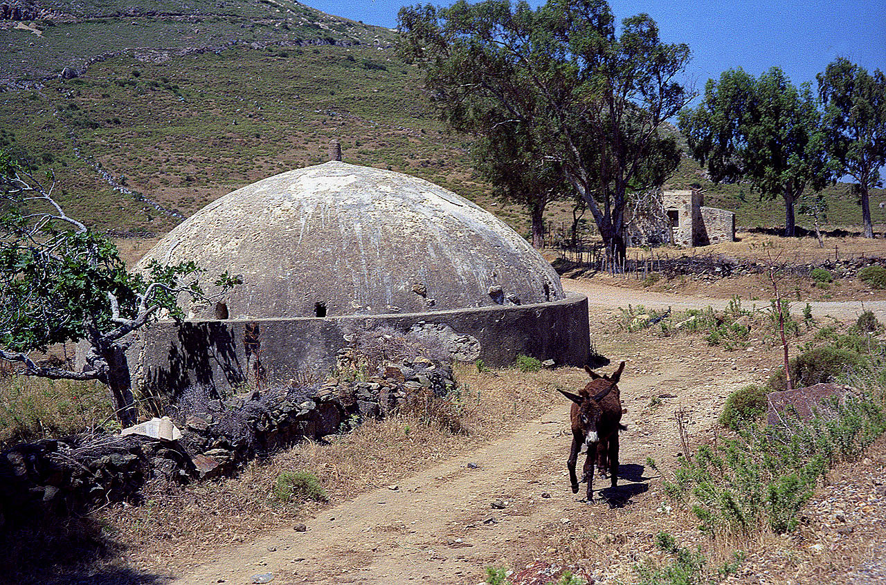 04.06.1996 | bei Telmissos | Eselsfamilie bei gedeckter Zisterne