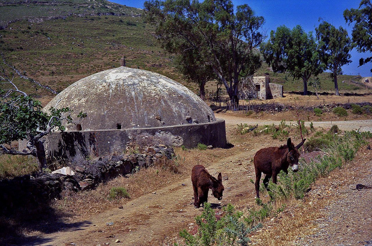04.06.1996 | bei Telmissos | Eselsfamilie vor gedeckter Zisterne