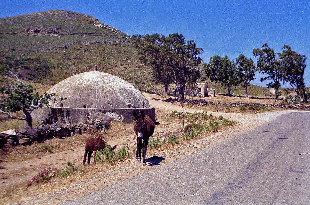 04.06.1996 | bei Telmissos | Eselsfamilie vor gedeckter Zisterne