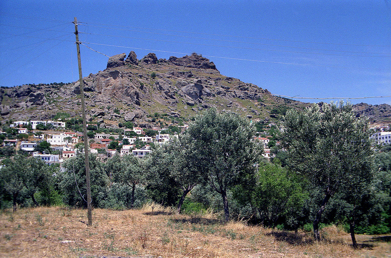04.06.1996 | bei Ortakent  | Landschaft der Bodrum-Halbinsel