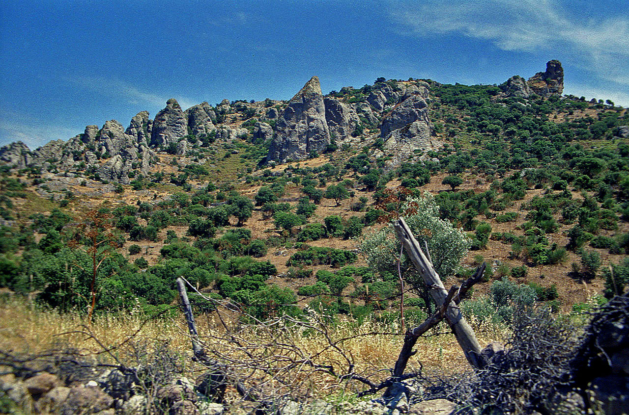 04.06.1996 | bei Ortakent  | Landschaft der Bodrum-Halbinsel